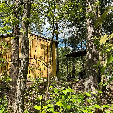 Bungalow Biberspur Zieko エクステリア 写真