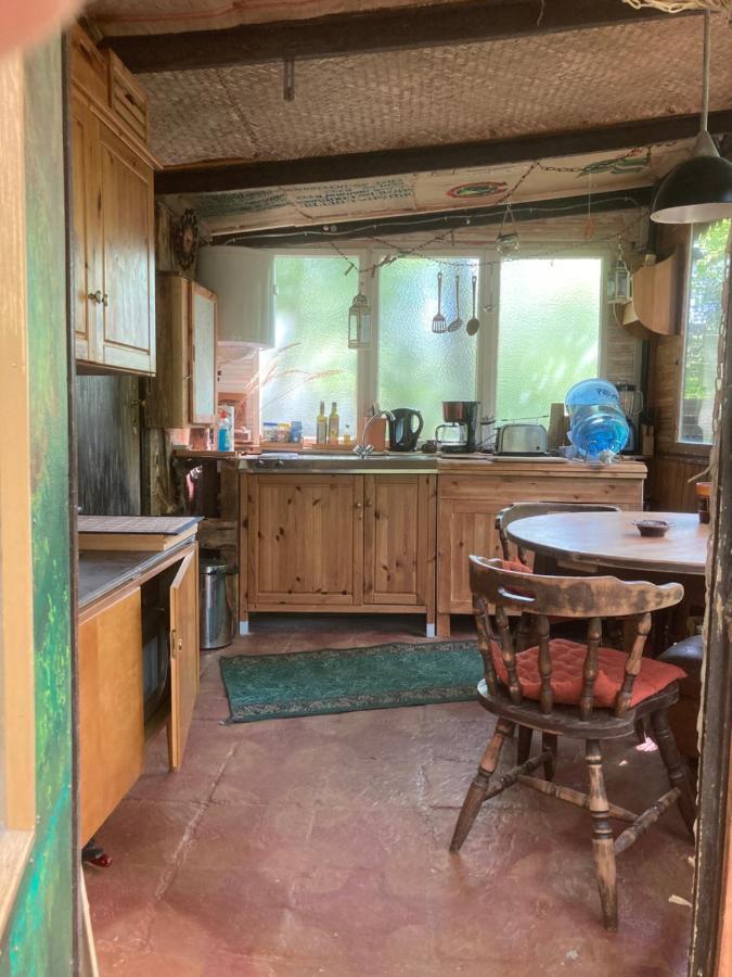 Bungalow Biberspur Zieko エクステリア 写真