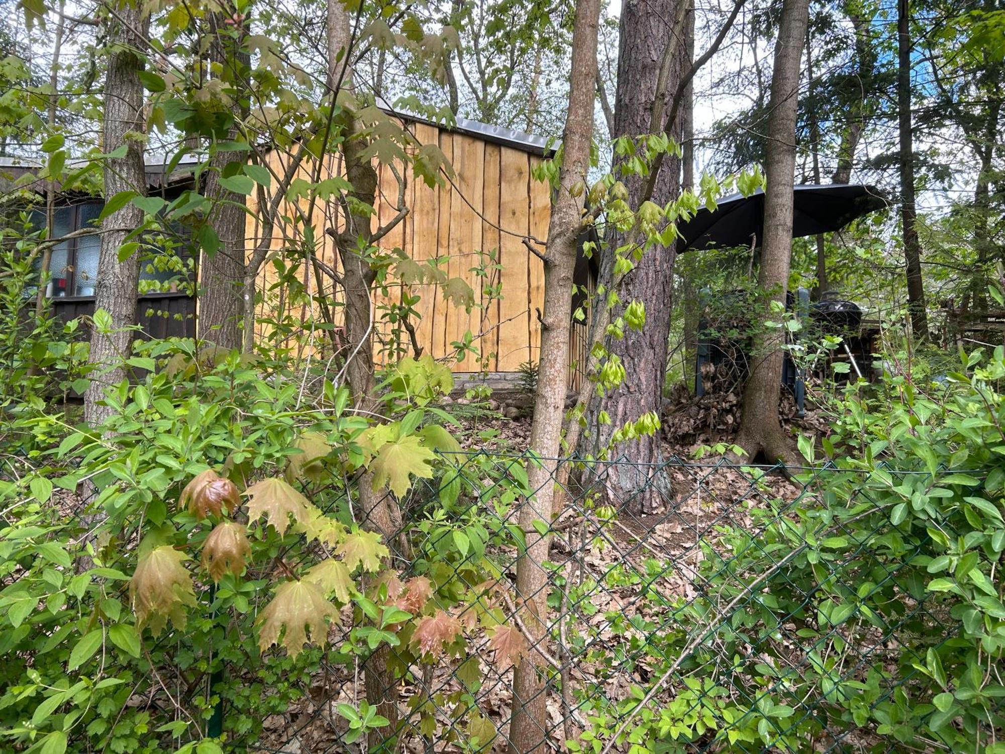 Bungalow Biberspur Zieko エクステリア 写真
